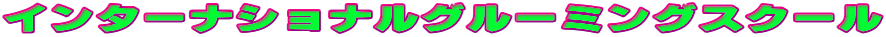 C^[iViO[~OXN[